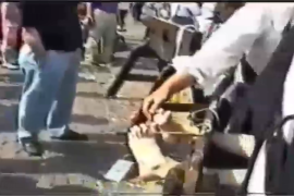 Q260tk挠脚心_202631718348